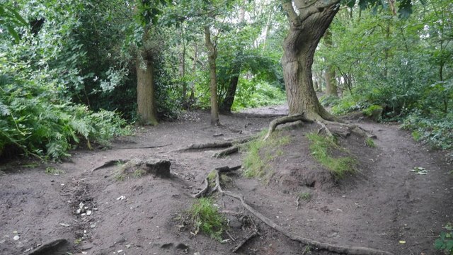 Path, Helsby Hill