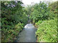 Hermitage Stream, Havant