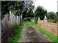 Towards allotments in Gilfach