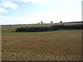 Stubble field near Forest Farm