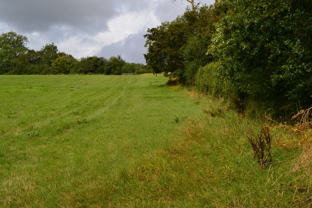 Field edge footpath towards Colden Common