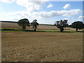 Stubble field near Hurst Farm