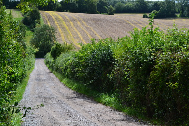 Track leading down from Immanuel Farm