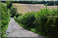 Track leading down from Immanuel Farm