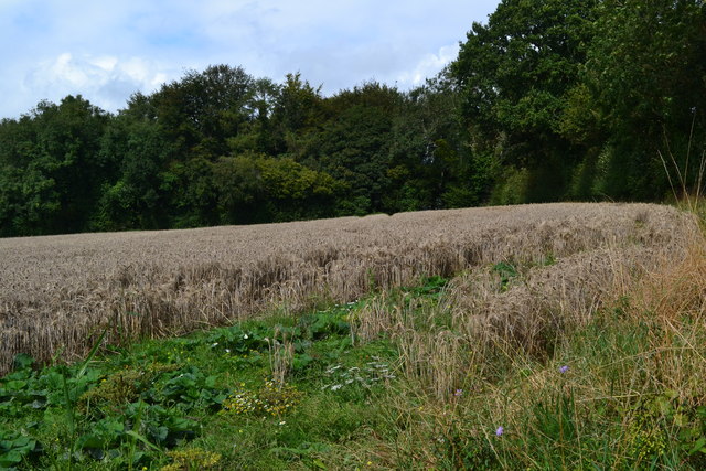 Field and woodland beside Watley Lane