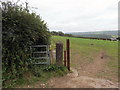 SN4609 : Llwybr ger Ffarm Pant y Parchell / Path near Pant y Parchell Farm by Alan Richards