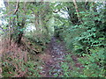 Llwybr tuag at Farm Waun-gwiail-fawr / Path towards Waun-gwiail-fawr Farm