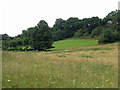 Farmland at Andrews Ley Farm