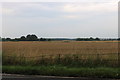 Field by the A4104, Woodmancote