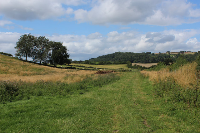 Grass Track below Hessle Hill