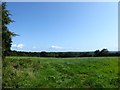 Road Meadow