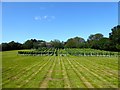 Barn Field