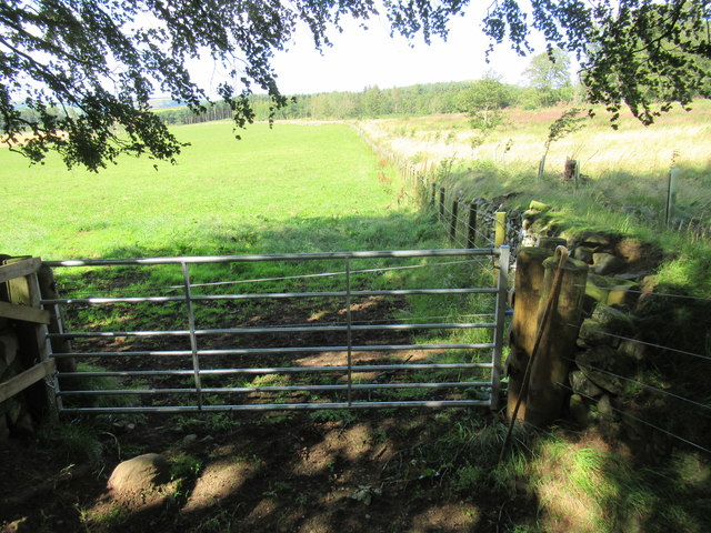Proper traditional gate preventing... © ian shiell cc-by-sa/2.0 ...