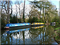 Moored boats, Wey Navigation