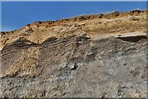 SZ3685 : Compton Bay: Geologically interesting cliffs 1 by Michael Garlick