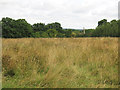 Public footpath across a field near Oakfield Farm