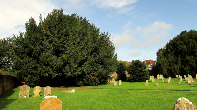 St Andrew's churchyard, Farnham