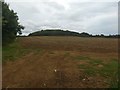 Looking across to Lesingey Round