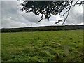 Looking across Bartinney Downs