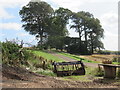 Copse hiding a grand modern house near Preston in the Scottish Borders