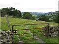 Gate with a view