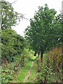 Path behind Sherfield Avenue