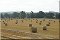 Bales in a field, Nether Durdie, Glendoick