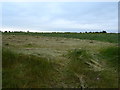 SU1085 : Silage field, Middleleaze, Swindon by JThomas