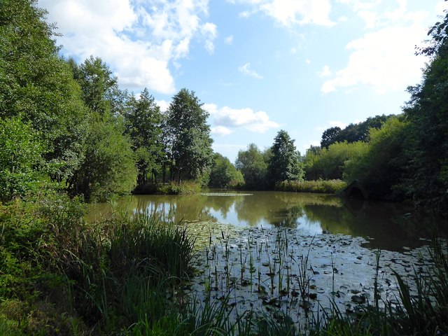 New Pond © Simon Carey cc-by-sa/2.0 :: Geograph Britain and Ireland