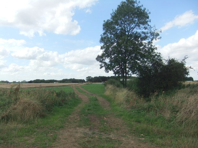 Path leading to Hales Hill Farm