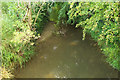 River Wey channel