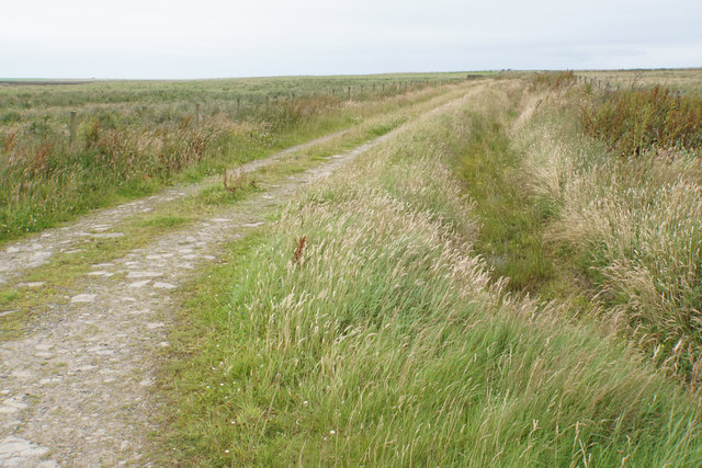 Track near Craw Howe © Bill Boaden cc-by-sa/2.0 :: Geograph Britain and ...