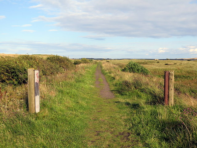 Disused railway, Dumbarnie Links © Andrew Curtis :: Geograph Britain ...