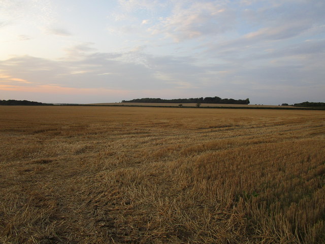 Stubble field and Stanger's Plantation © Jonathan Thacker :: Geograph ...