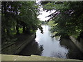 SK5437 : Footbridge on the lake at Nottingham University by Jeremy Bolwell