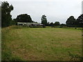 Cut silage field towards Katriona