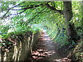 The South West Coastal Path near Cawsands