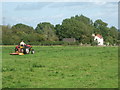 Farming near Rook Cottage