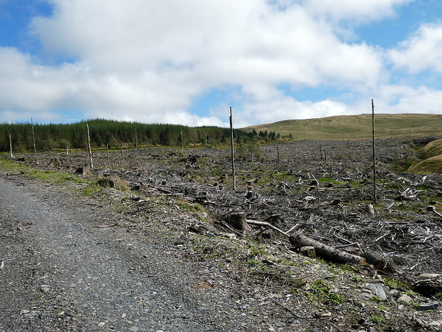 Clear-fell outside of the southern... © John Lucas cc-by-sa/2.0 ...