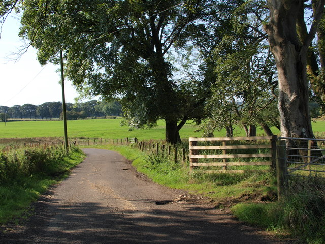 Bends in Millwell Road