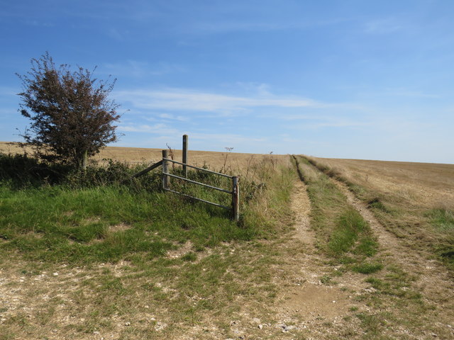 Path near Ditchling Beacon
