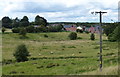 Sheep along the River Witham at Colsterworth