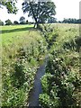 River Tutt at Carr Top Farm