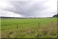 Field, Balgowan Home Farm