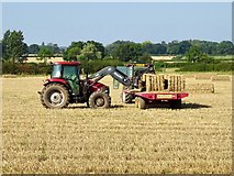 SK2533 : Loading straw bales at Baldfields Farm by Ian Calderwood