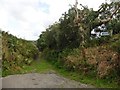 Tarka Trail, leading to West Buckland