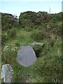 SH5056 : Small slate clapper bridge in moorland near Dafarn Dywarch by Christine Johnstone