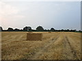 Stubble field off Broad Fen Lane