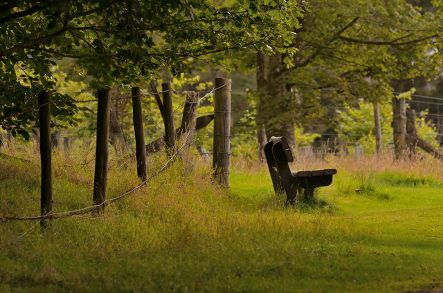 A Place to Sit in Haddo Deer Park, Aberdeenshire