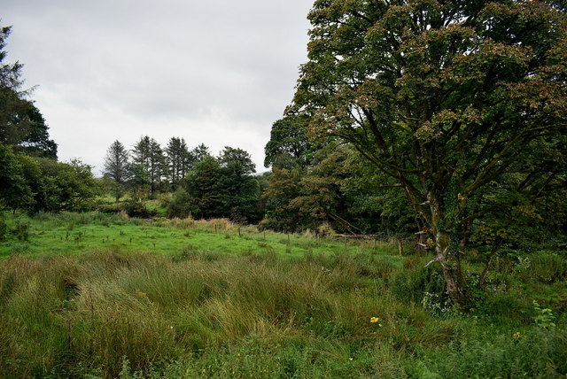 Rushy ground, Glashygolgan © Kenneth Allen :: Geograph Ireland